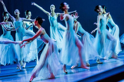 曼舞長(zhǎng)寧 兒童舞蹈精品專場(chǎng)的藝術(shù)魅力與服務(wù)特色